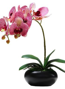 新中式瓷蝴茶蝶兰仿真花摆件客20181厅餐桌几陶盆栽饰假花艺创意