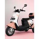 三辉追梦不倒翁电动车三轮车男女士小型电三轮老人家用代步电瓶车