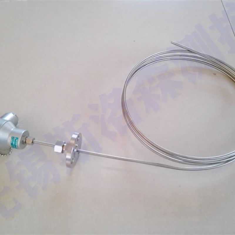 PT100温度传感器 铠装热电阻测温探头法兰安装热电偶