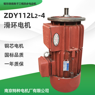 南京特种ZDR-3.0KW电机 起重机天车行车配件高精度转子滑环电机