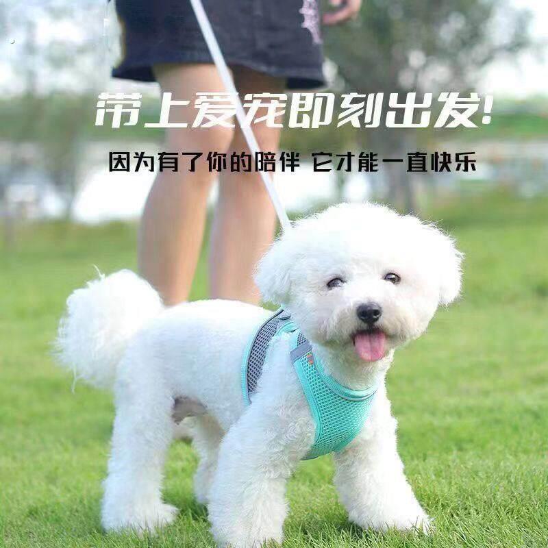 小鹿犬专用1斤牵引绳吉娃娃透气结实背心式狗绳小型犬狗狗用品幼