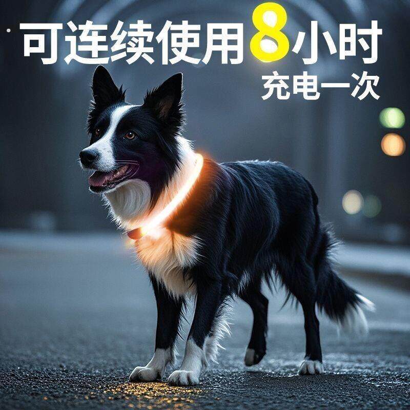 狗狗发光项圈夜间遛狗夜光夜行灯大小型犬防走失带灯充电宠物脖圈