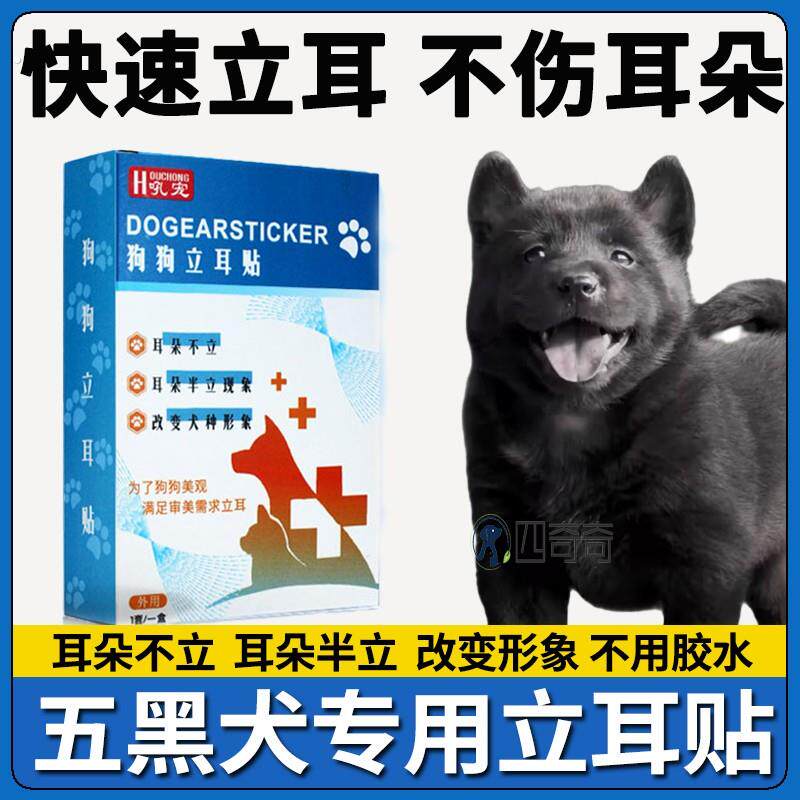 五黑狗耳朵立耳器狗狗立耳神器幼犬小狗立耳贴辅助耳朵固定器竖耳