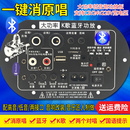 双话筒k歌大功率蓝牙功放板12V24V220V低音炮功放板 一键消原唱