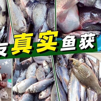汉鼎螺纹钢二代轻量大物竿台钓竿超硬青鲟巨物竿鲢鳙竿钓鱼竿手杆