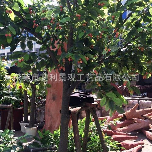 仿真核桃树植物人造大型塑料仿真开心果树红枣树园林景观装饰树