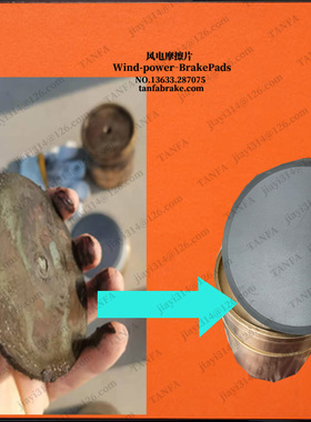 上摩擦片  X3087-CS01  110*10