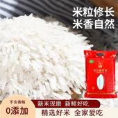 安徽猫牙长粒香米籼米煲仔饭专用扬州炒饭 8毫米 精品猫牙米
