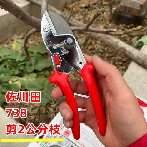 佐川田葡萄枝省力剪粗枝剪果树剪园艺绿化剪刀修枝剪花艺剪果枝剪