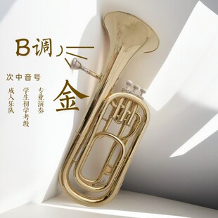 宫泽风次中音号降B调三立键抱号学生初学演奏大号铜管乐器巴里东