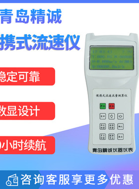 手持便携式流速测量仪LS300-A河道明渠流速计LS1206B旋浆水流测算