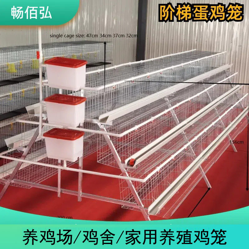 蛋鸡笼子阶梯式养鸡设备立体式全自动半自动养殖棚专用三层四层