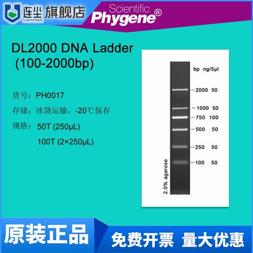 PH0017 DL2000 DNA Ladder (100-2000bp) 100T DNA Marker
