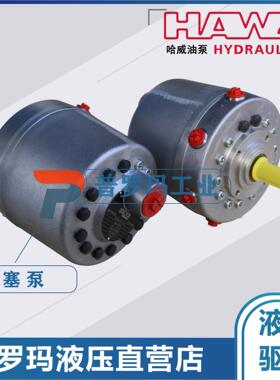 包邮德国HAWE哈威径向柱塞泵R9.8-9.8-9.8-9.8A 叶片泵水泥厂油泵