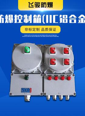 IIC铝合金防爆控制箱照明动力箱防水配电柜电源控制箱