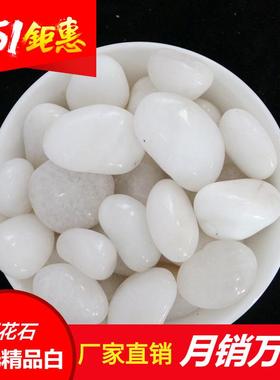 精品高抛光白色鹅卵石雨花石铺面家装园林盆栽用石