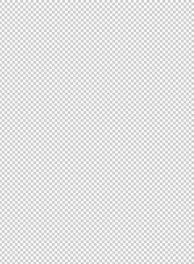 替代链条导向件VSW31 32 36 37-35 40 50 60-L1000带安装27法兰型