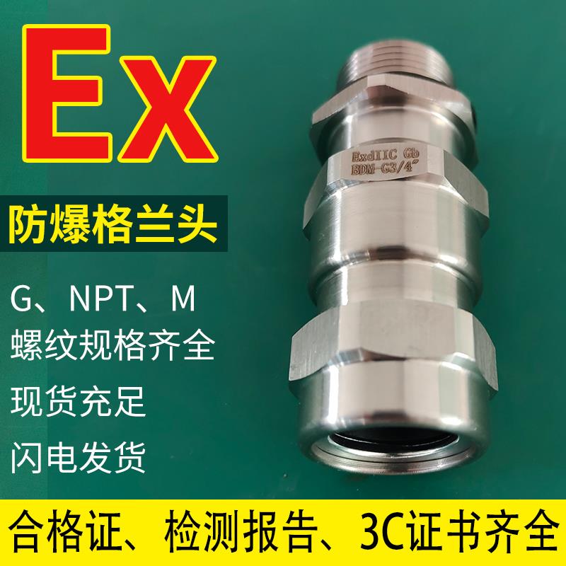 不锈钢防爆铠装电缆夹紧双密封防水外径接头格兰头g1/2外丝螺纹
