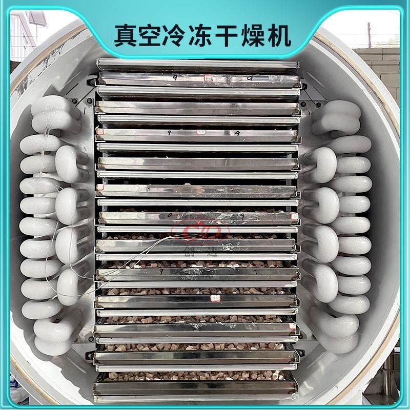 低温真空冷冻干燥机设备燕窝银耳枸杞菌菇草莓智能冻干机器10平方,机械设备,干燥机/干燥箱/烘干机,淘宝优惠券,粉丝福利购,淘宝优惠卷
