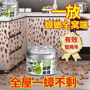 全屋无蟑 强效出租房家用室内厨房蟑螂克星蟑螂一窝端 hjt