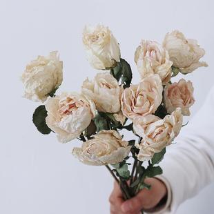 饰插花高端花材女神节礼物 稀有白色玫瑰干花天然真花大花苞家居装