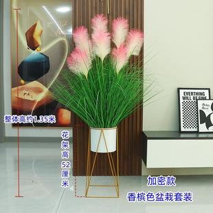 饰网红盆栽落地假绿植室内花北欧植物ins风摆件盆景 仿真芦苇草装