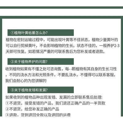 绿植盆HOI栽大竹办文公室内客厅净化气花易活植卉物盆景空好养植