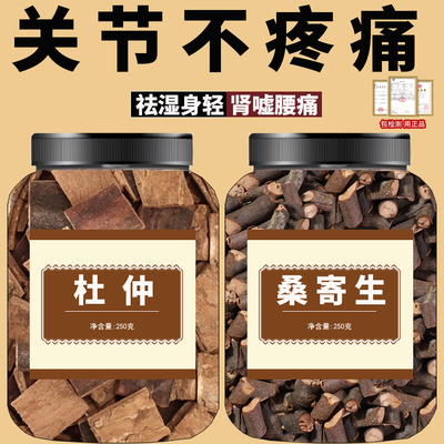 桑寄生杜仲茶中药材正品官方旗舰店野生药用酒泡水喝的功效与作用