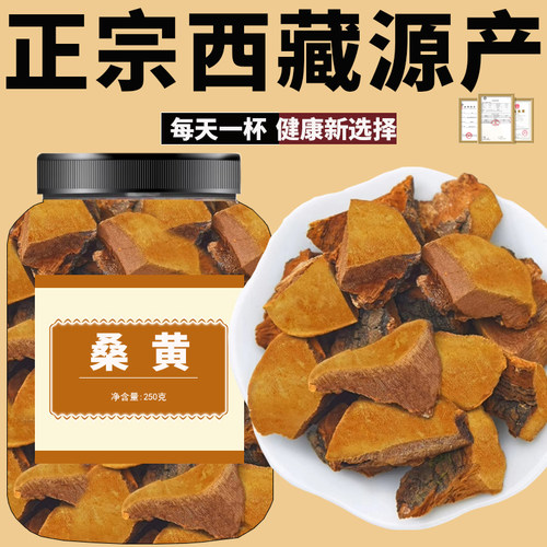 桑黄中药材正品官方旗舰店西藏野生桑树茶桑黄的功效与作用泡水喝