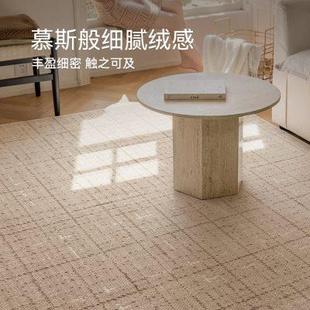 无胶水 无异味 客厅地毯轻奢高级感家用简约百搭耐脏2024新款