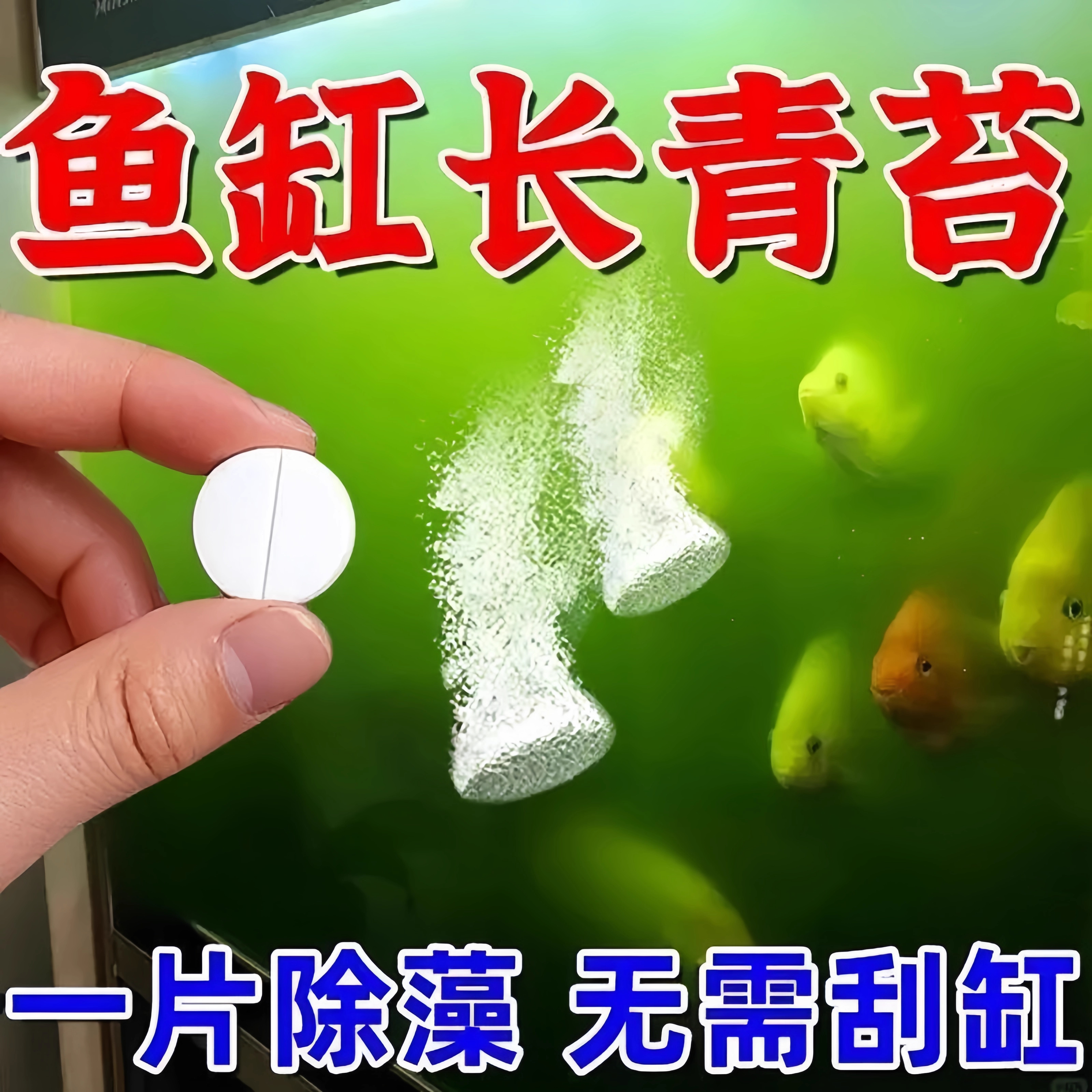 鱼缸除藻片绿藻青苔清除神器