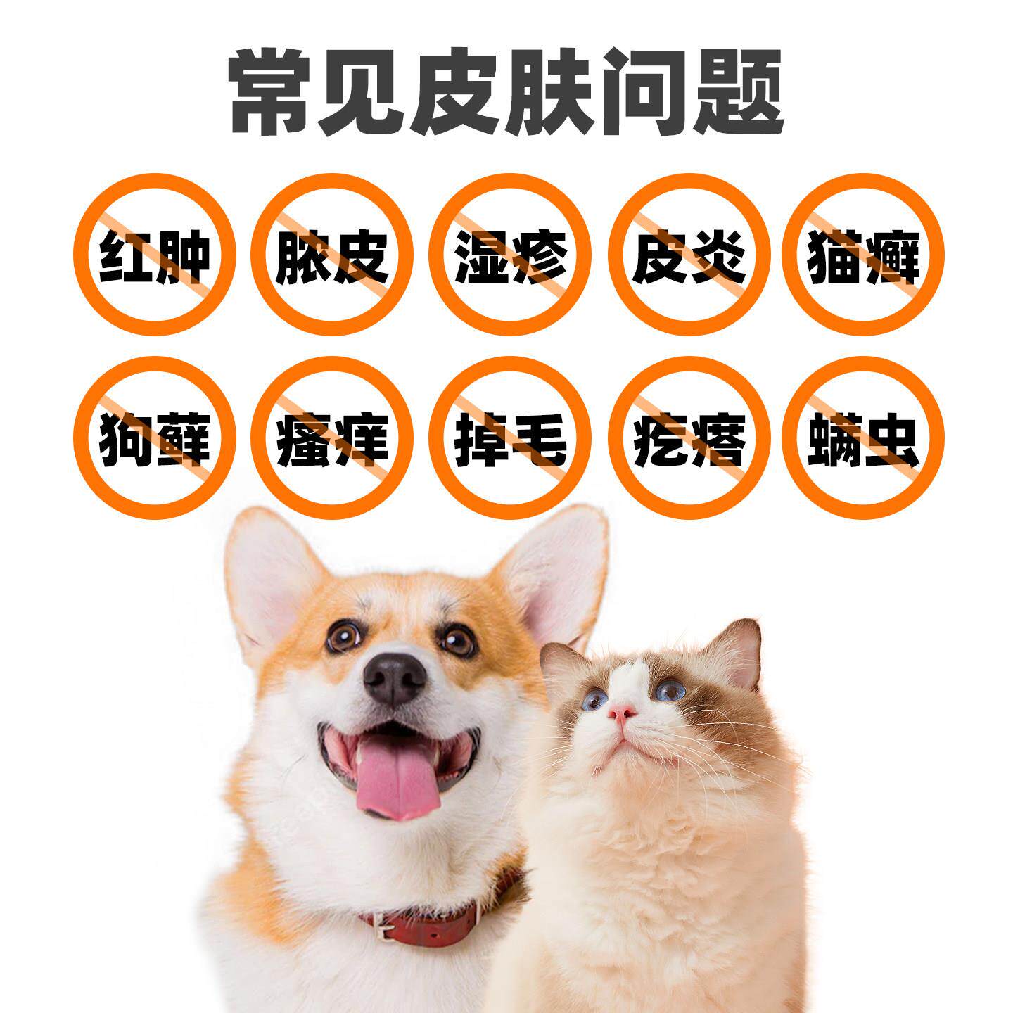 猫藓外用专猫癣狗藓特狗皮用肤病真菌非药宠物喷雾真菌螨虫皮普喷
