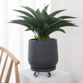 圆形移动DCTP0002花盆托托盘带滚轮万向轮底座盘绿植盆栽底定制加