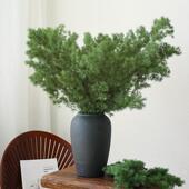 花绿色蓬莱松永生居花干 干燥花花束高级真家摆设插DRD景花酒店造