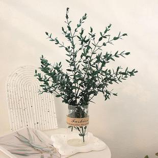 进口ins北欧森系真花真叶子永生花尤加利叶细拍照软装 饰民宿绿植