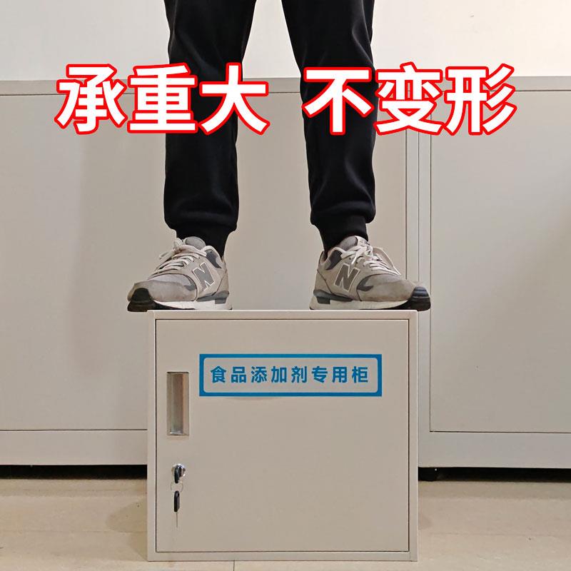 铁皮收纳柜食品添加剂专用柜小型定制柜子不锈钢单门铁柜文件柜