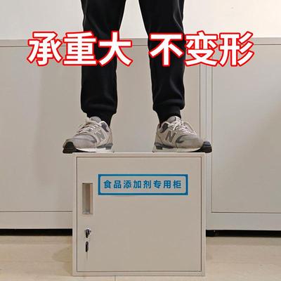 铁皮收纳柜食品添加剂专用柜小型定制柜子不锈钢单门铁柜文件柜