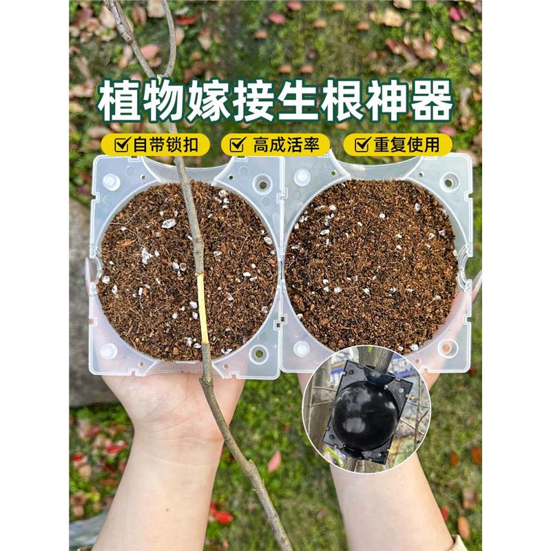 植物高压繁殖嫁接盒花卉果树控根神器扦插枝繁殖球生根育苗繁殖器