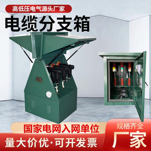 10KV欧式 35KV一进三五出户外高压不锈钢铜排对接箱 电缆分支箱20