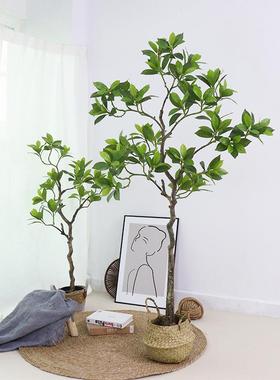 仿真绿植非洲茉莉室内家居落地假树植物仿真盆栽装饰造景盆景