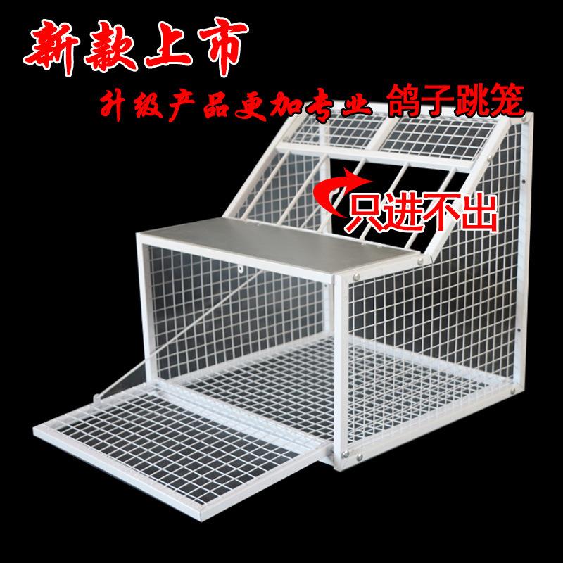 鸽子跳笼信鸽赛鸽用品用具鸽棚鸽舍进口只进不出跳笼放飞笼门