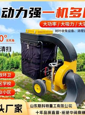 公园草坪树叶吸叶机树叶吸扫机多功能手推式树叶收集器落叶清扫机