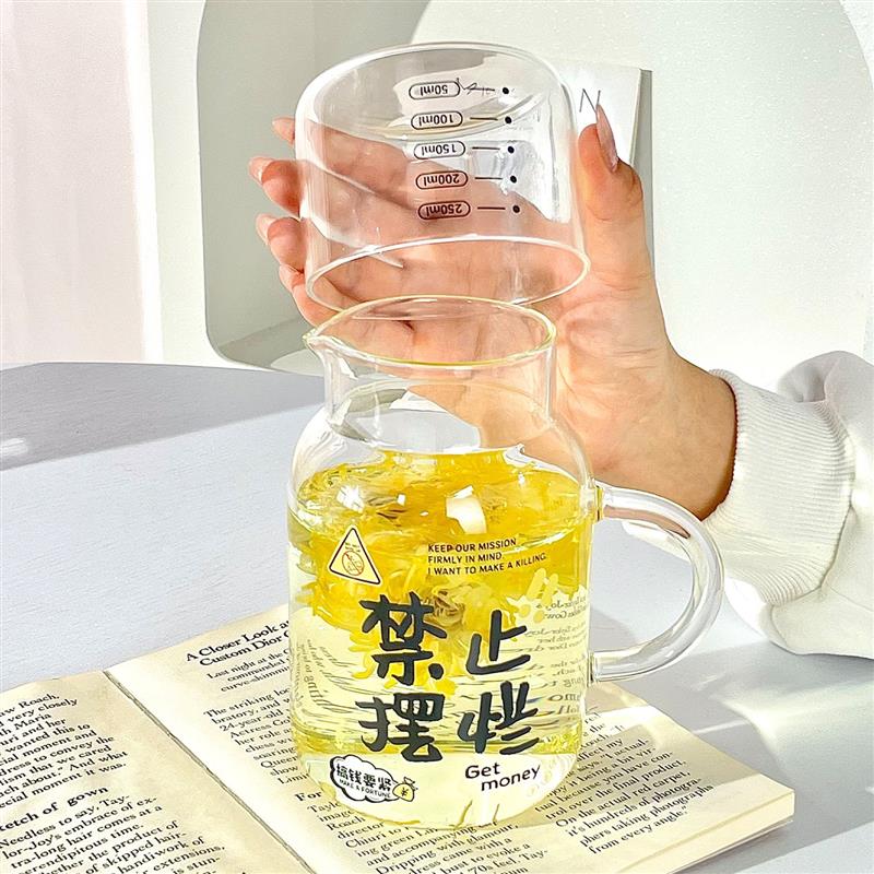 一人泡茶壶高硼硅玻璃水壶家用冷水壶水杯带盖耐高温可加热可微波