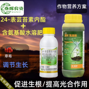 巴斯夫望秋氨基酸24表芸苔素内酯调节生长生根光合作用叶面肥套装