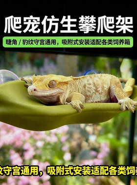 爬宠仿生攀爬架睫角守宫吸附式悬浮平台躲避屋爬宠晒台饲养缸造景