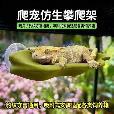 爬宠仿生攀爬架睫角守宫吸附式悬浮平台躲避屋爬宠晒台饲养缸造景