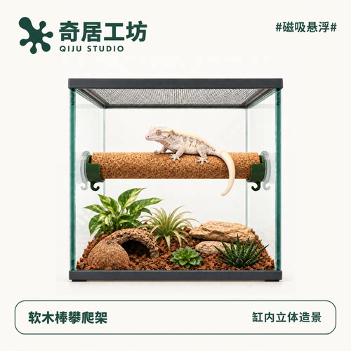 爬宠攀爬软木棒支架睫角守宫