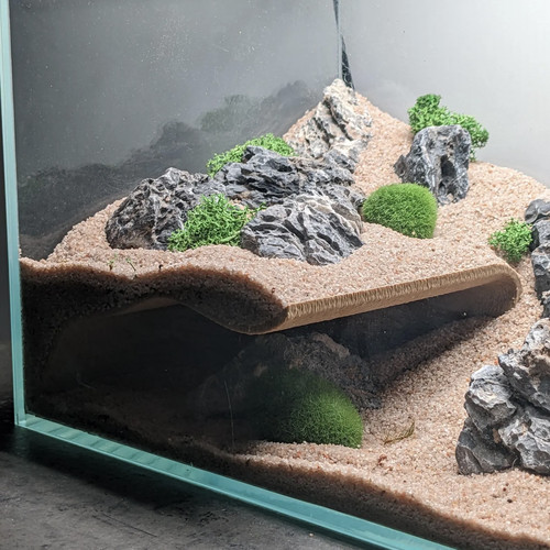 鱼缸造景爬宠蜥蜴守宫