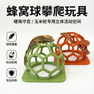 爬宠攀爬支架蛇守宫睫角攀爬玩具造景装饰活动健身房爬虫攀爬玩具
