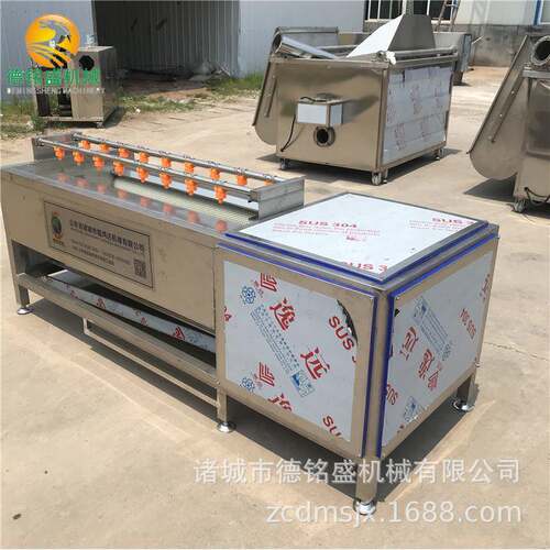 喷嘴的不排锈钢毛刷清洗双机洗土豆磨皮机器胡DMS20210萝卜毛辊清